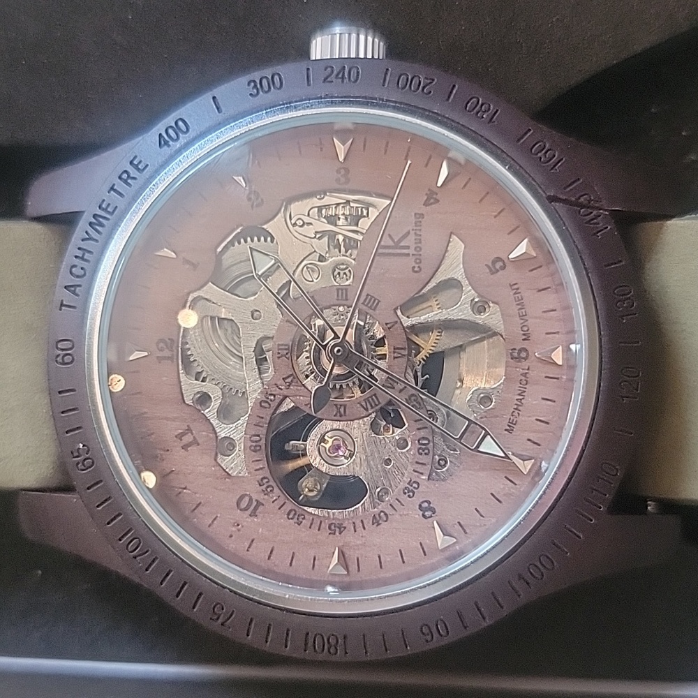 Men's Self-Wind Mechanical Wrist Watch Skeleton Design Stainless Steel Band Roma